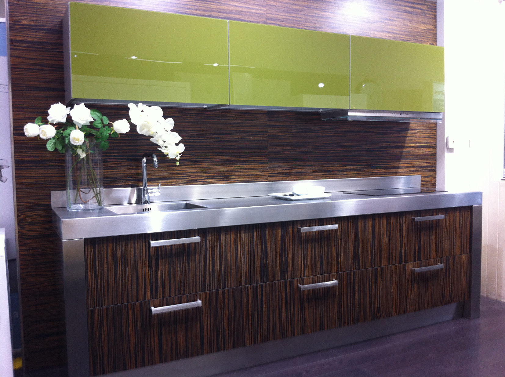 Campana extraplana y placa cocina